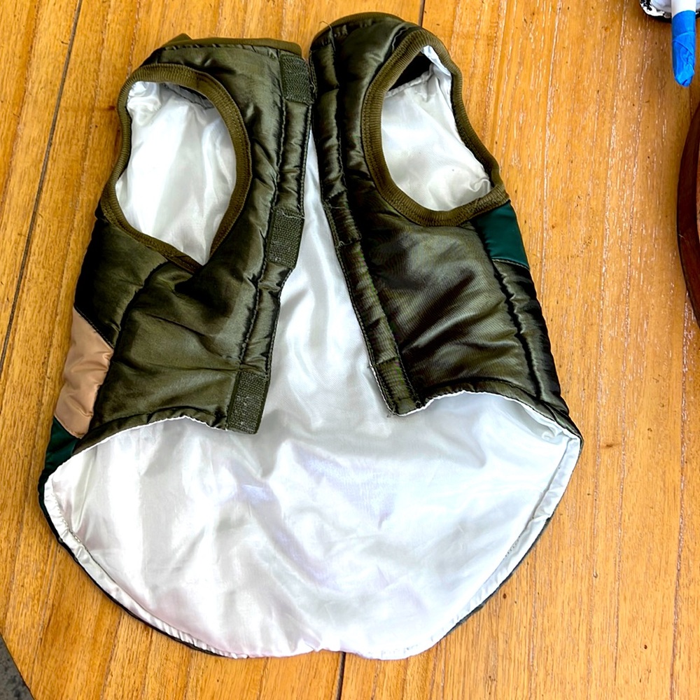 Down like jacket for a dog I’m great condition